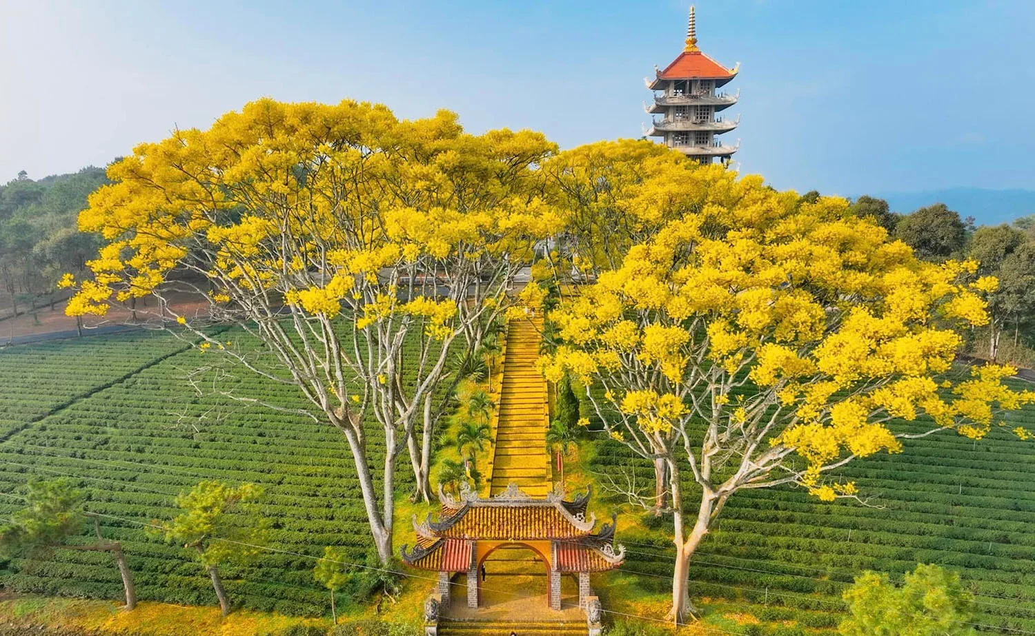 tu vien bat nha ve dep nao long nguoi 1 1654653040 jpg